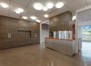 Kids Bedroom Interior Design